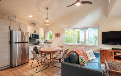 HN2405 AY Time & Steve ADU-186 (1)