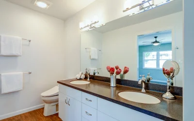 Next Generation’s New Home – Master Bathroom